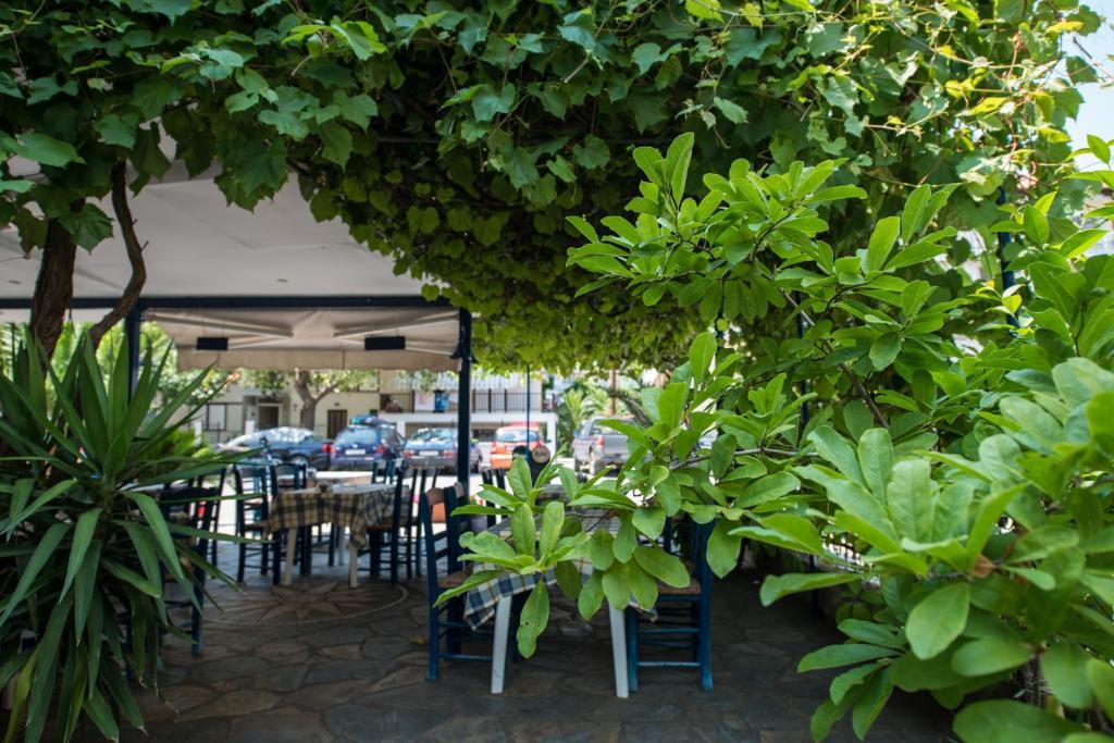 Hotel Alexandros Néoi Póroi Ngoại thất bức ảnh
